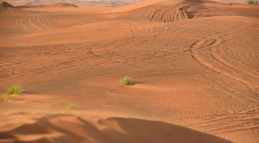 Dubai - Deserto