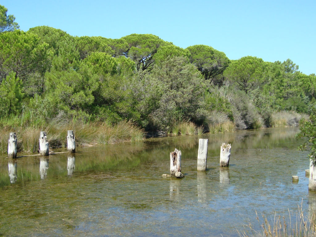 Parco della Maremma