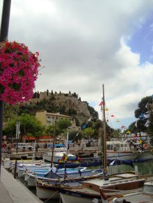 cassis