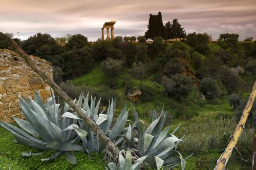 Giardino della Kolymbethra