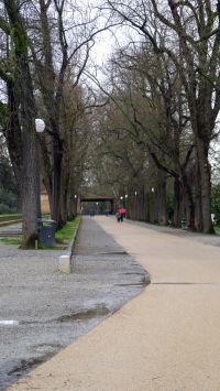 Lucca