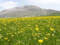 castelluccio di norcia