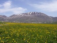 piani di castelluccio